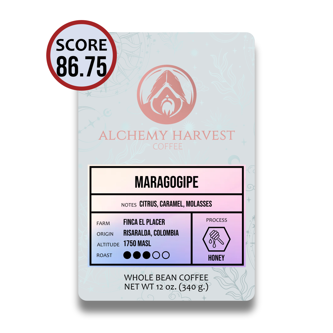 Maragogipe - Honey