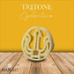 Marulo,Tritone Oplontino Pasta, Artisan Bronze Die-Cut Pasta, 12 Pack x 1.1 lb