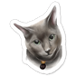 Faces Of Kitty Town Sticker Pack