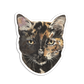 Sticker Pack
