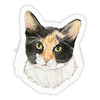 Mooney Sticker