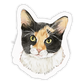 Faces Of Kitty Town Sticker Pack