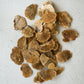 Bag Of 48 Dried Sponge Mushrooms