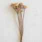 Bundle Of 6 Wooden Deco Roses On Stems