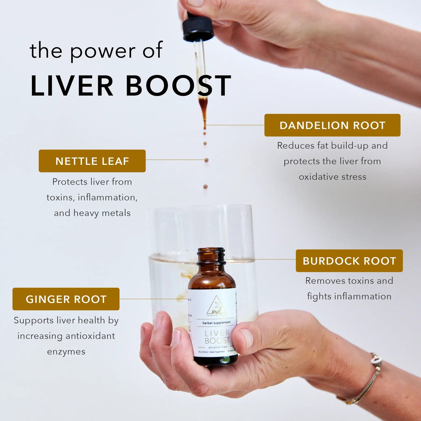 OWL Supplement Kit