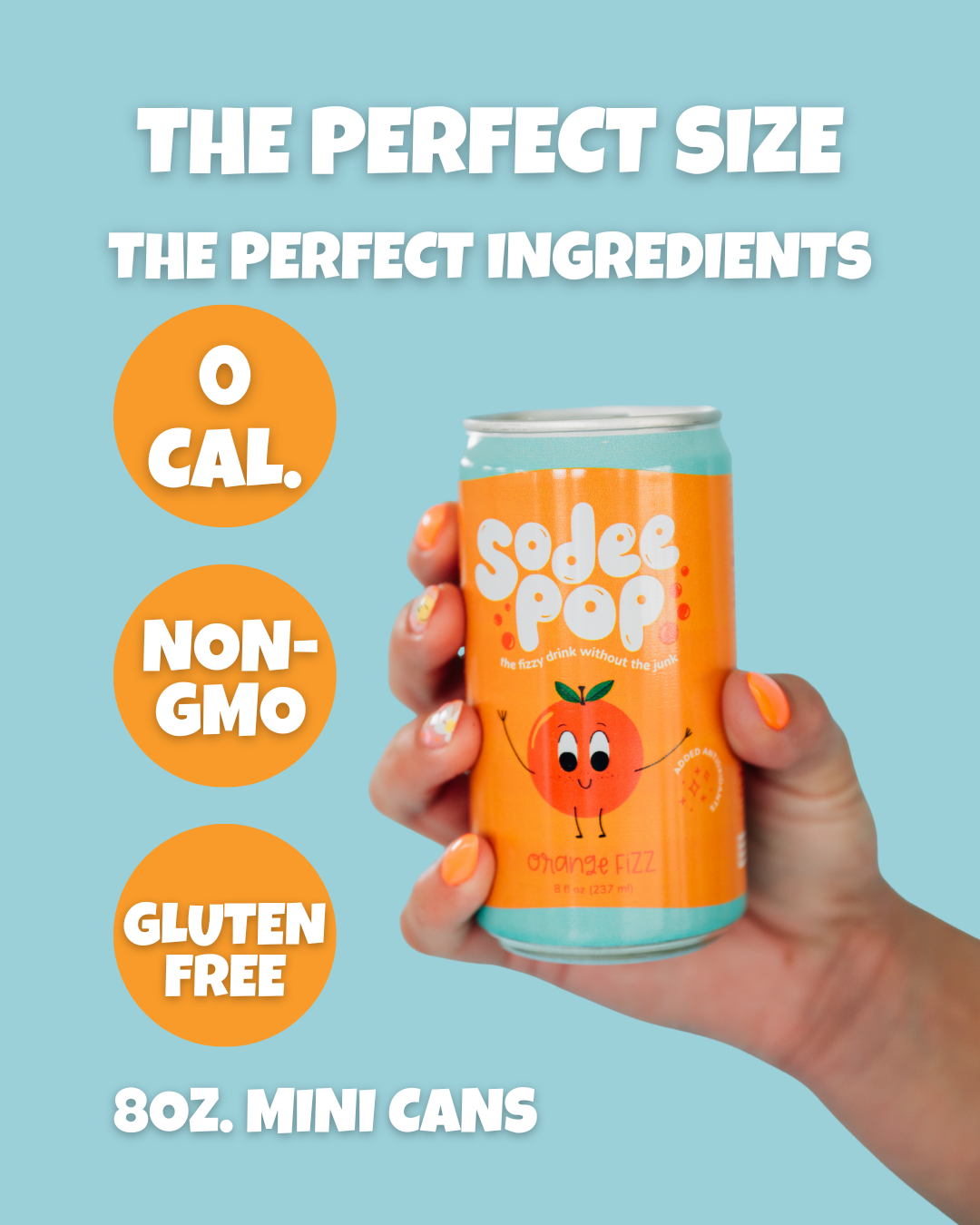 ORANGE FIZZ-12 Pack