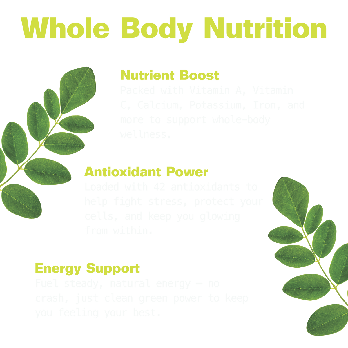 Pure Moringa Powder for Energy (Value Size)