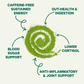 Pure Moringa Powder for Energy
