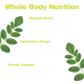 Pure Moringa Powder for Energy