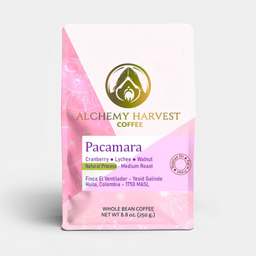 Pacamara - Natural