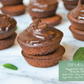 Instant Dairy Free Coconut Hot Cocoa Mix  |  10 Serving Pouch | Gluten Free, Vegan and Organic