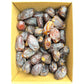 Premium Organic Medjool Dates 2 Lbs