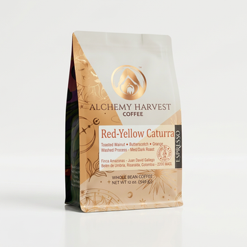 Red/Yellow Caturra - Washed Espresso
