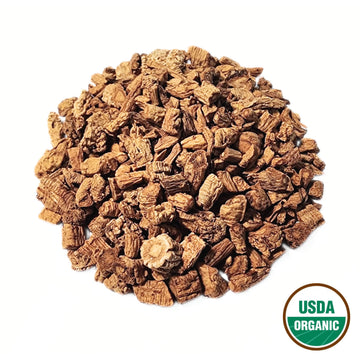 Codonopsis Root (Cultivated) - Codonopsis pilosula Radix - Dang Shen (Zai Pei) - Organic