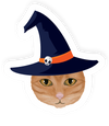 Spooky Kitty Sticker