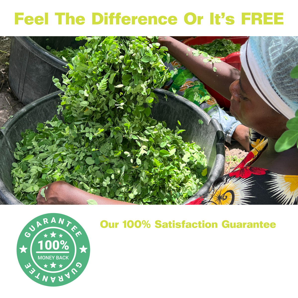Super Greens for Daily Power