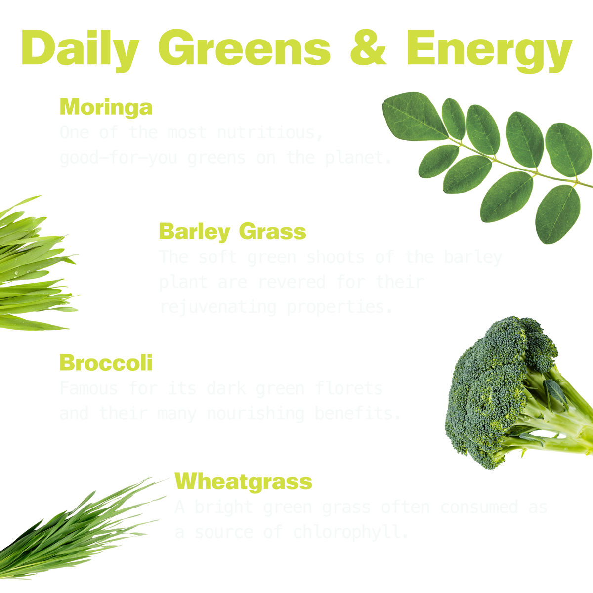 Super Greens for Daily Power