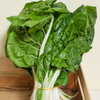 Giant Fordhook Swiss Chard