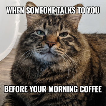 Morning Coffee Meme Sticker