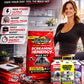 Screamin Energy Sample Pack - 6 Pouches
