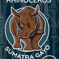 The Rhinoceros - Indonesia Sumatra Gayo Organic Medium-Dark Roast