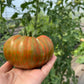 Girly Girl's Weird Thing, Tomato