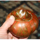 Girly Girl's Weird Thing, Tomato