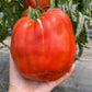 Goat's Bag, Tomato