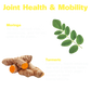 Turmeric & Moringa Gummies for Joint Health