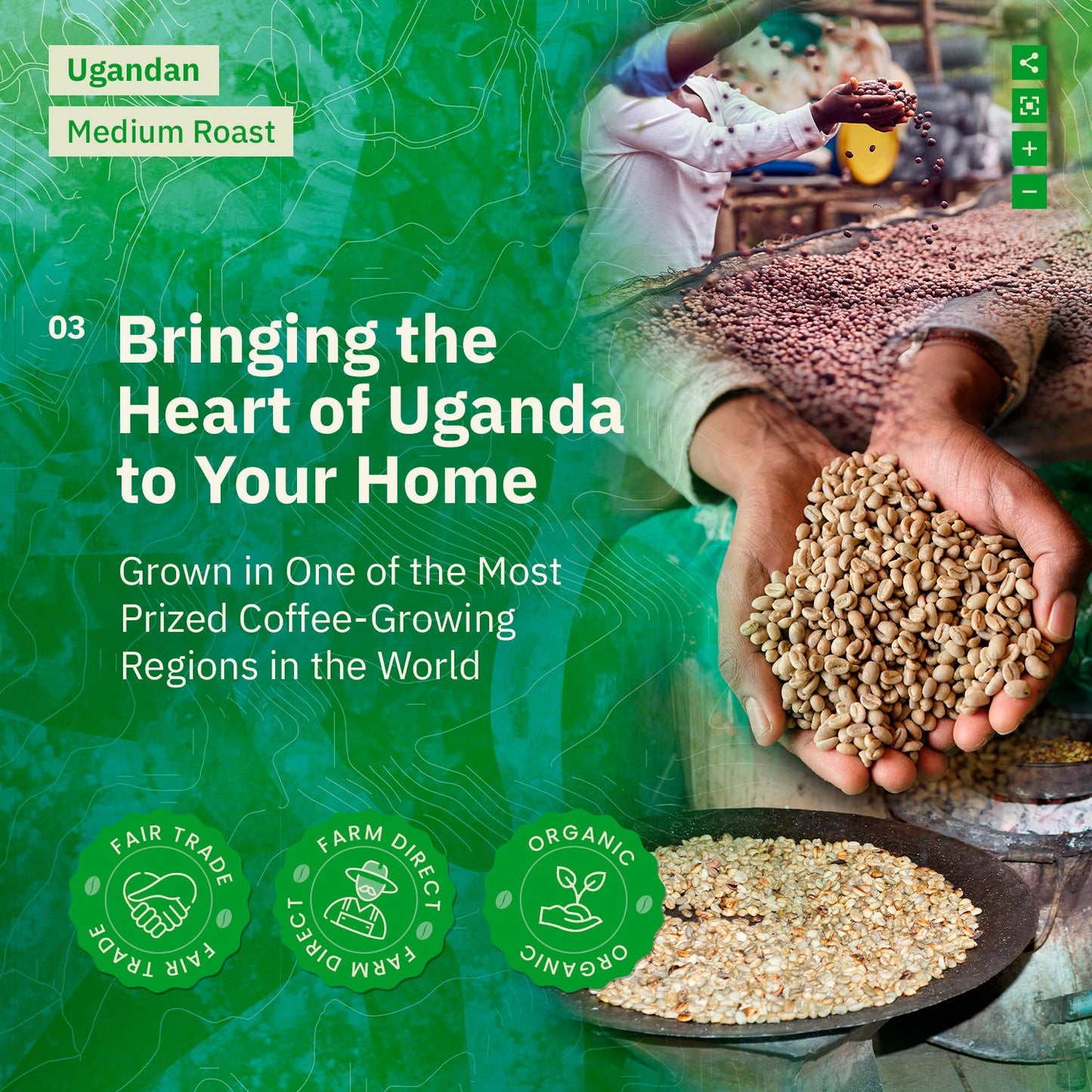 Kochere Coffee Ugandan Sipi Falls Single Origin, Organic Medium Roast - Raisin, Fig, Brown Sugar Notes