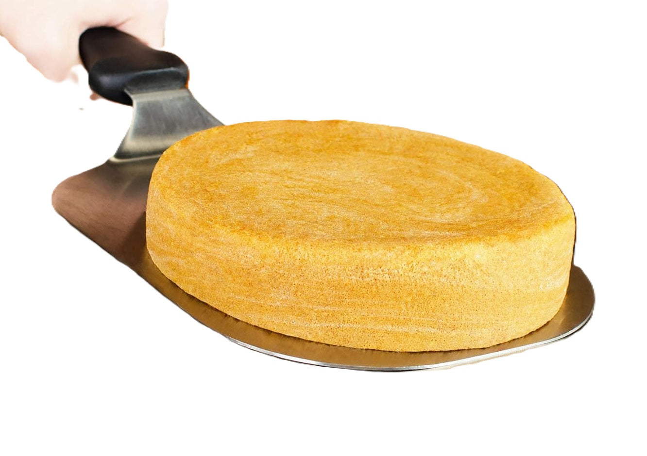 Fat Daddio's Stainless Steel Cake Lifter with 9" x 7" Blade