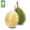 Premium Malaysian Musang King Durian (D197) - Whole Fruit 5-6lbs