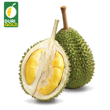 Premium Malaysian Musang King Durian (D197) - Whole Fruit 5-6lbs