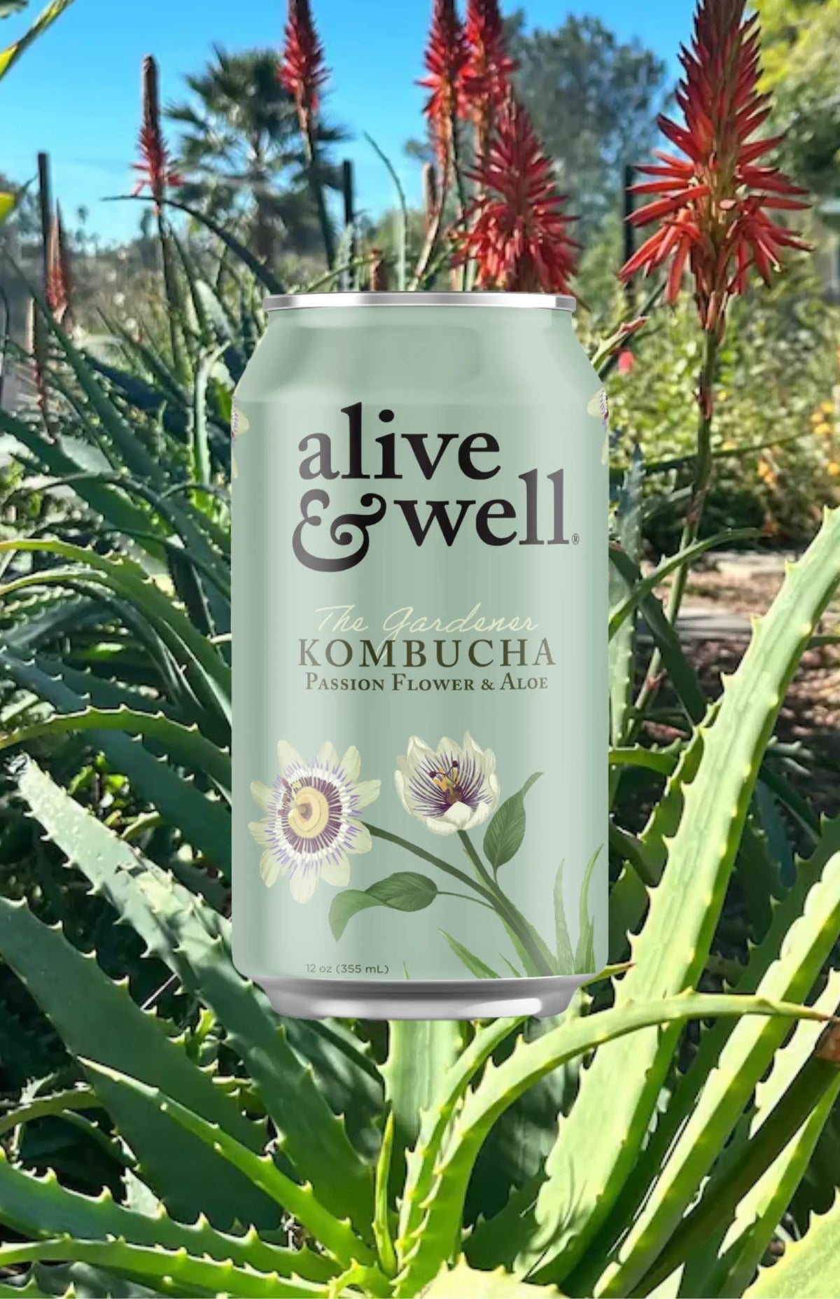 Aloe & Passion Flower Kombucha Organic - 6pk
