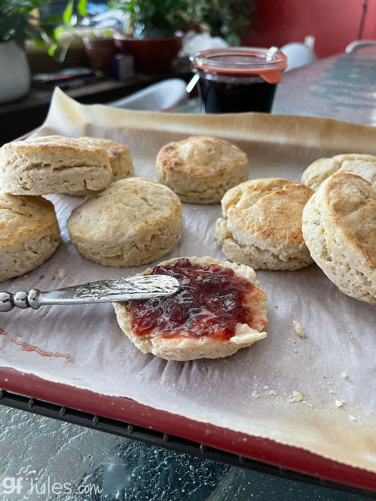 Gluten-Free Sourdough & Baking Flour | gfJules