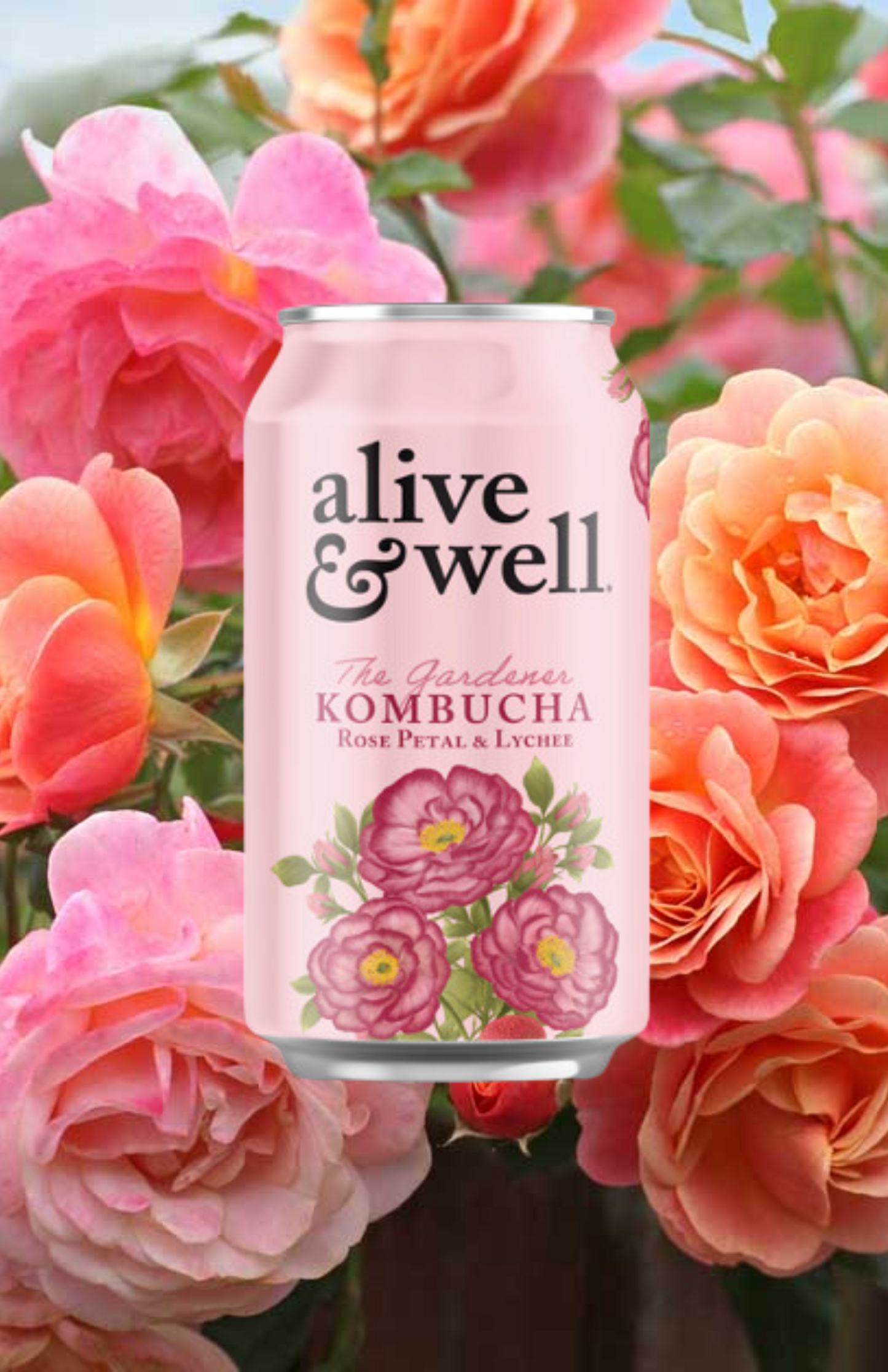 Rose Petal & Lychee Kombucha