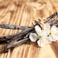 Organic Madagascar Vanilla Beans - Whole Grade B Pods for Extract Making