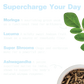 Energy Shake with Plant Protein (Creamy Vanilla)