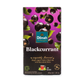 Dilmah Blackcurrant Ceylon Tea 20 Bags - Exquisitely Flavoured Black Tea