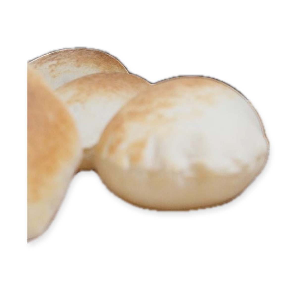 Fresh Baked Pita Bread – 10 Soft, Chewy Pieces