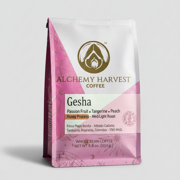 Gesha - Honey