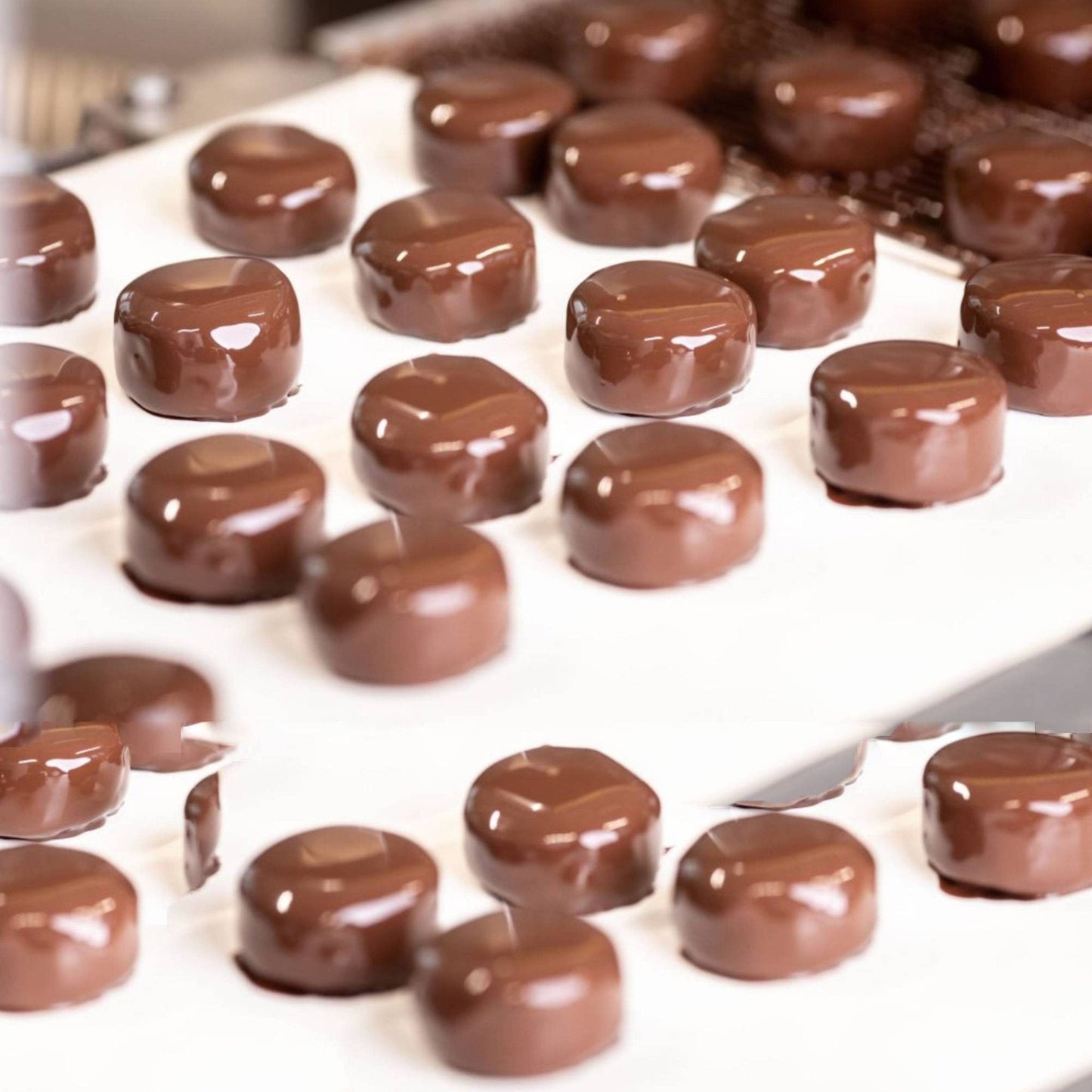 Andy Anand Dark Italian Rum Cuneesi Chocolate Truffles – 20 Pc Gift Box, Imported Gourmet Treats, 60% Cocoa Butter.