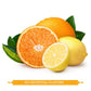 Andy Anand Sugar-Free Orange & Lemon Hard Candy, 7 oz – European Imported, Stevia Sweetened, Keto & Diabetic-Friendly Gourmet Snack Gift Box