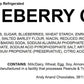 Andy Anand's Traditional Blueberry Cake 9" - Daily Freshly Baked Moist Decadent Cakes From Bakery - Indulge in Creamy Bliss (2.8 lbs)
