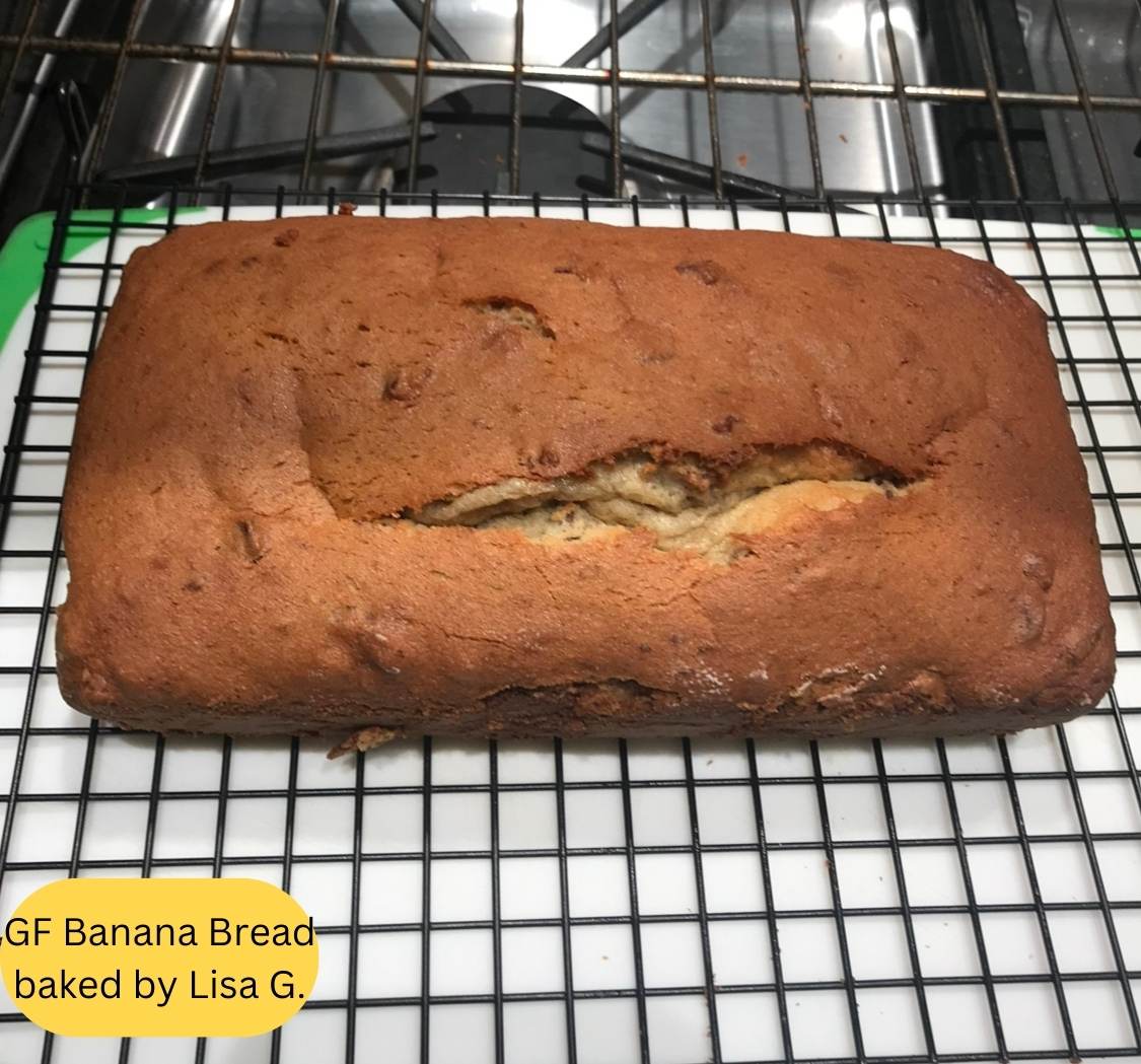 Gluten-Free Sourdough & Baking Flour | gfJules