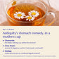 Chios Mastic Gum Tea