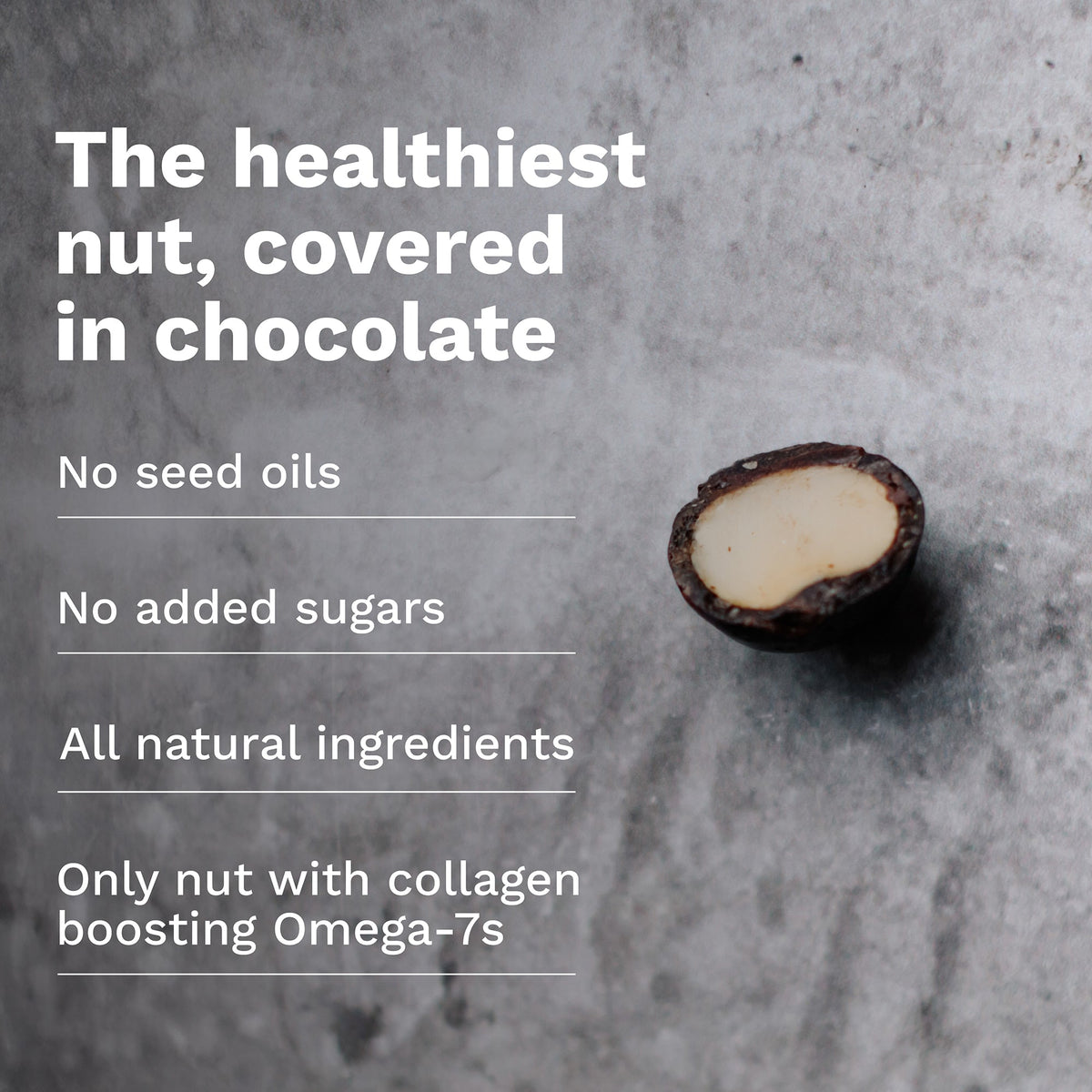 Chocolate Dipped Macadamia Nuts (12 Bags)