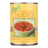 Amys - Organic Chunky Vegetable Soup - Case Of 12 - 143 Oz(D0102H5Kh5X)
