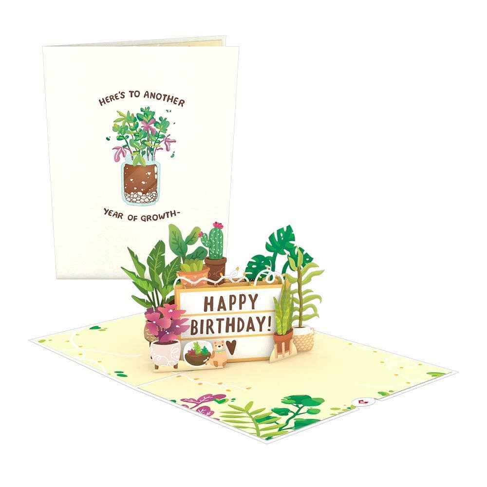 Happy Birthday Plants 5''x7'' Card, Birthday Cards