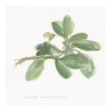 Sweet Marjoram -Paper Art-20''X20''